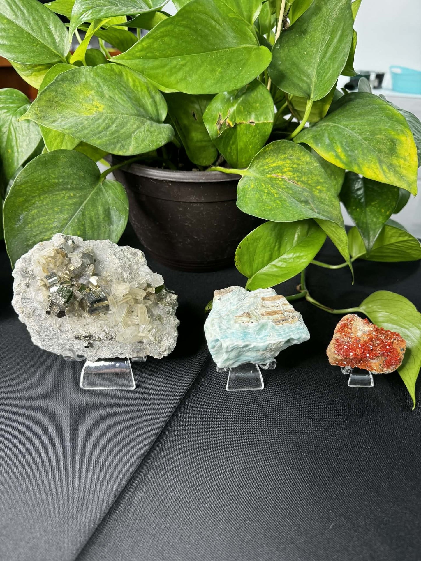 Sleek Acrylic Display Stand