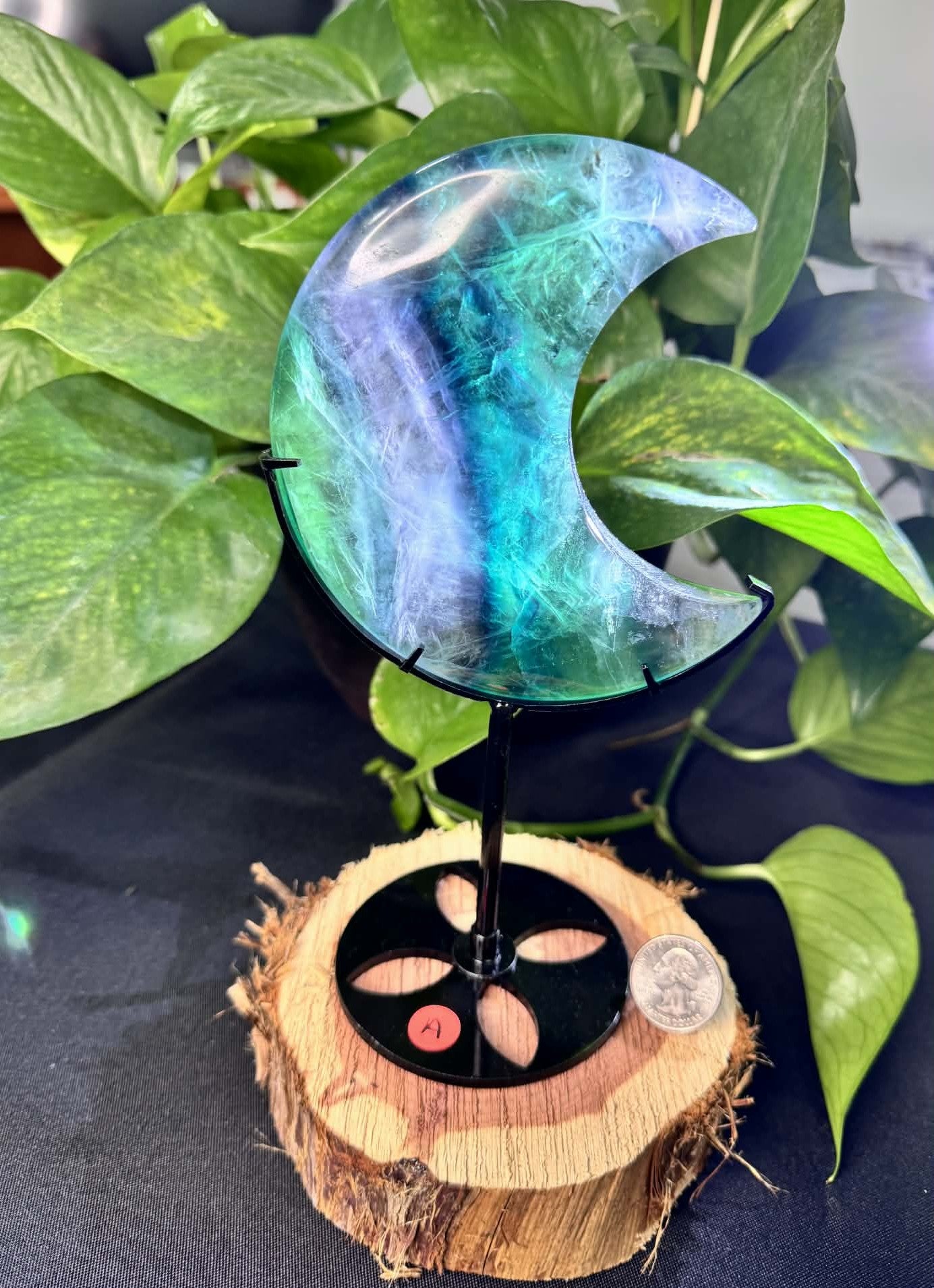 Fluorite Moon on Display Stand
