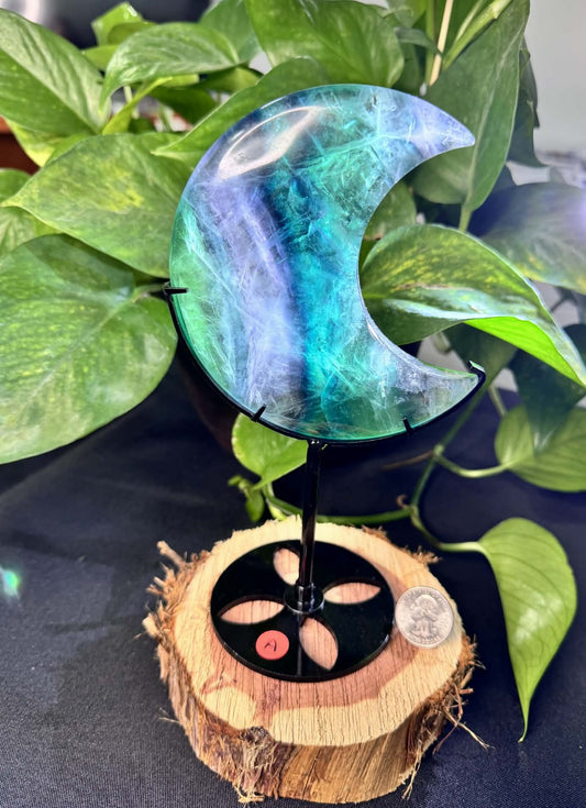 Fluorite Moon on Display Stand