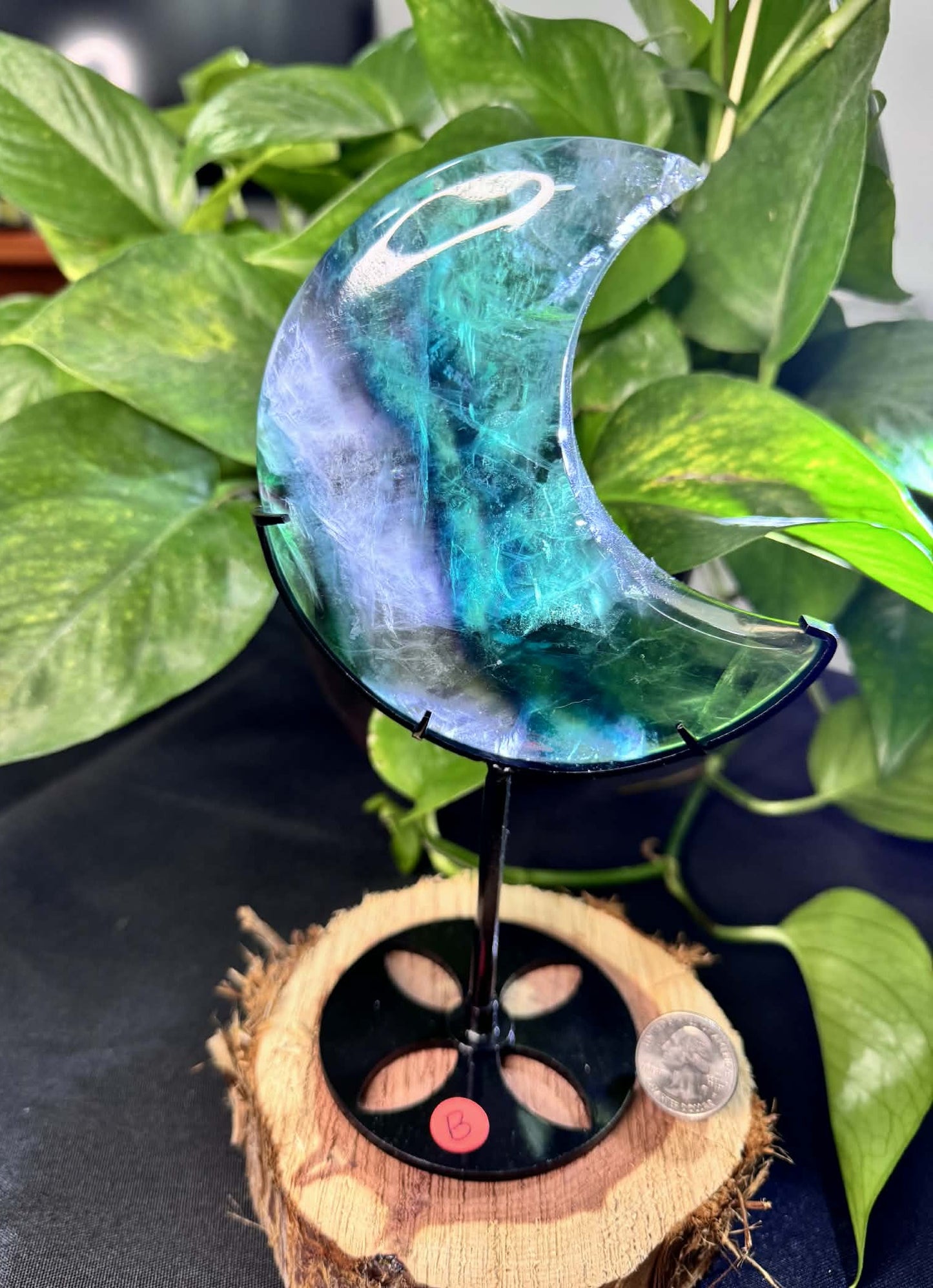 Fluorite Moon on Display Stand