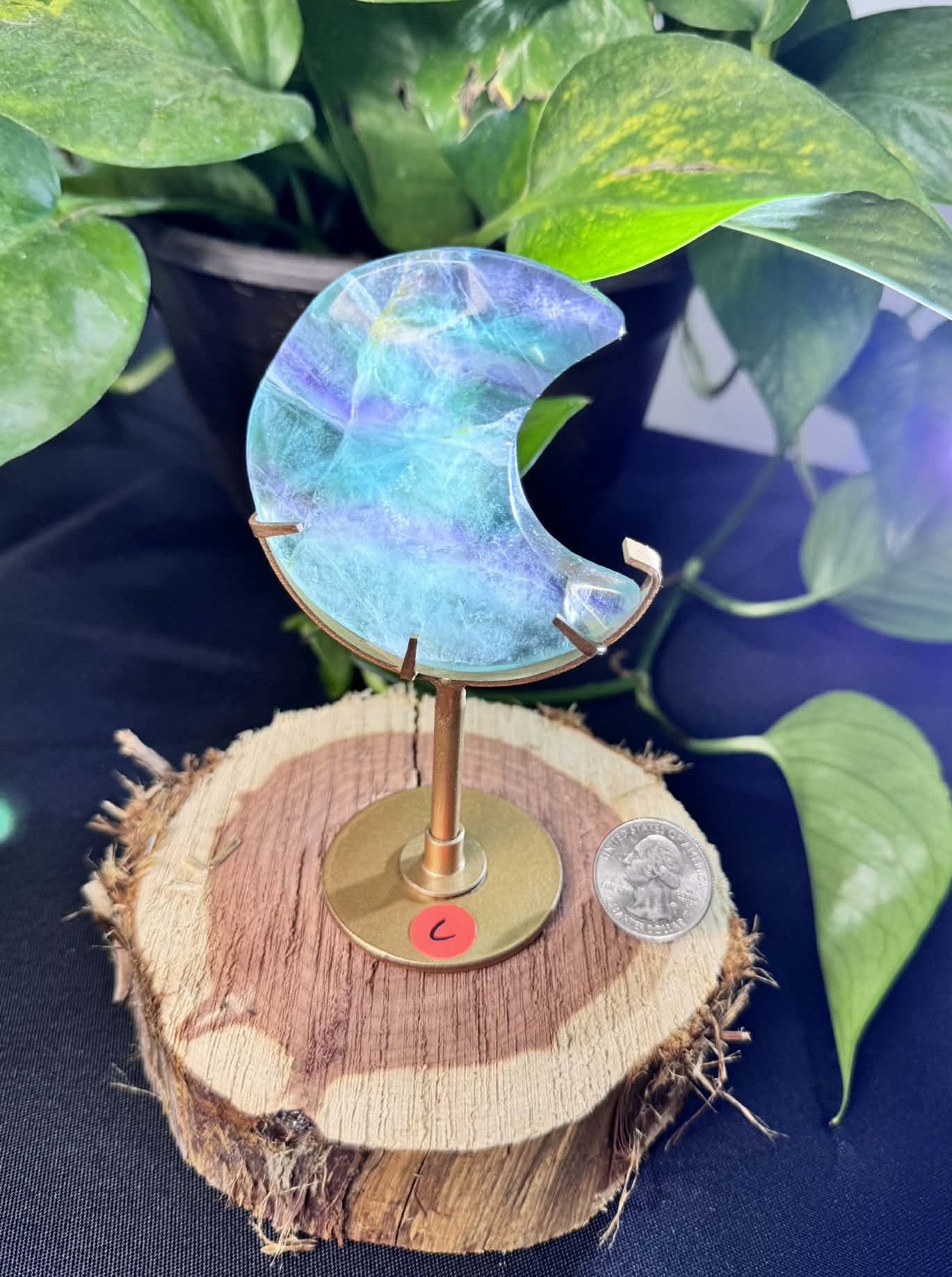Fluorite Moon on Display Stand