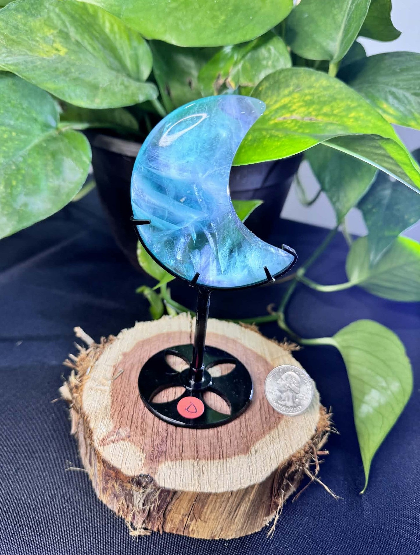 Fluorite Moon on Display Stand
