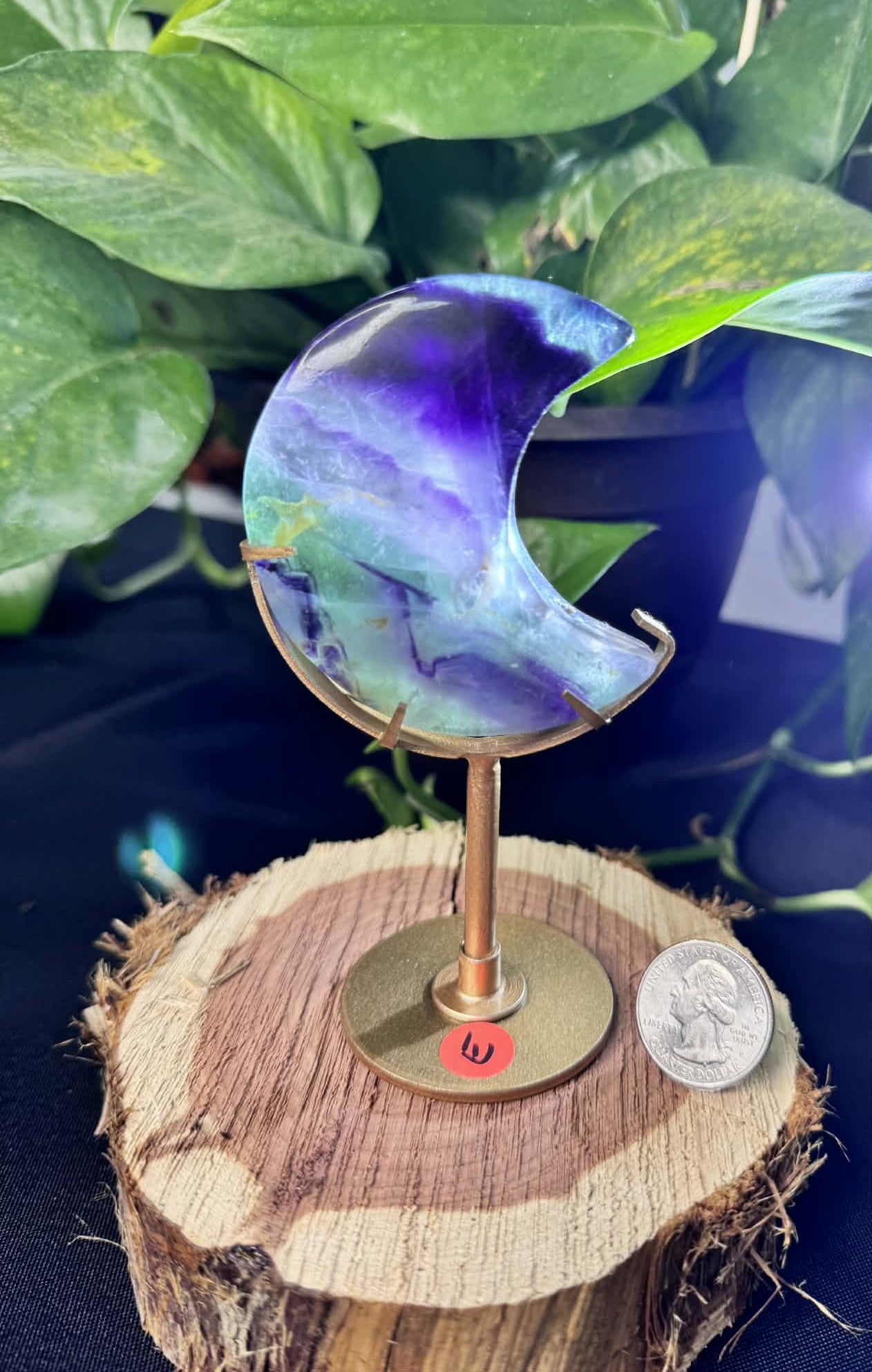 Fluorite Moon on Display Stand