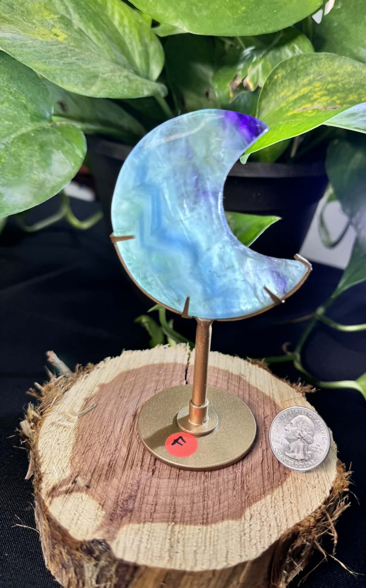 Fluorite Moon on Display Stand