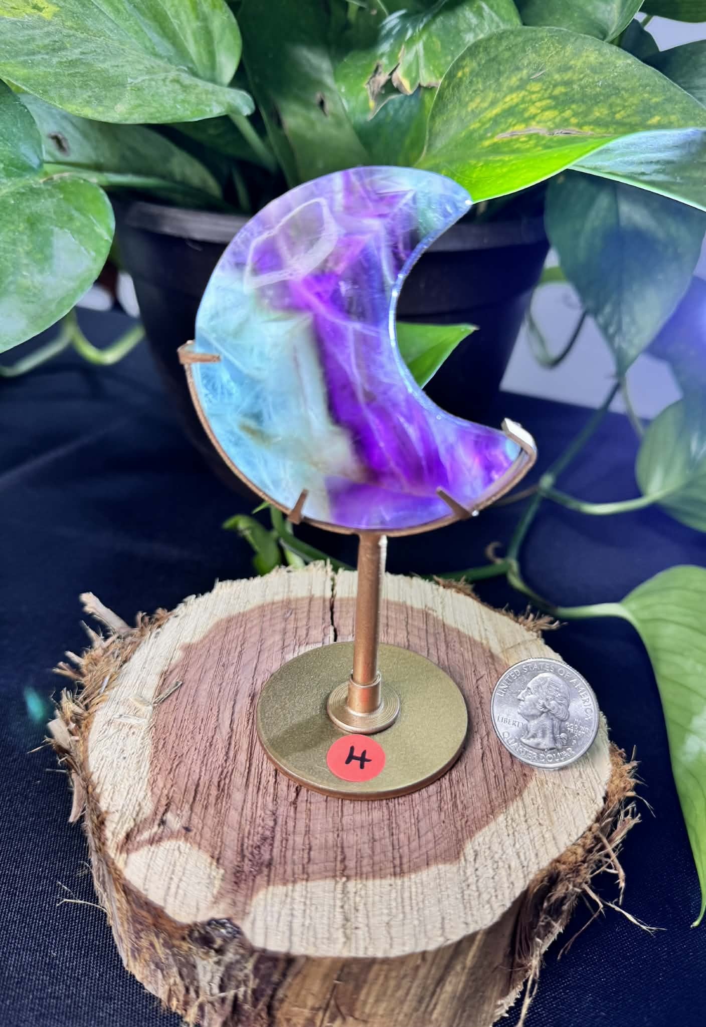 Fluorite Moon on Display Stand