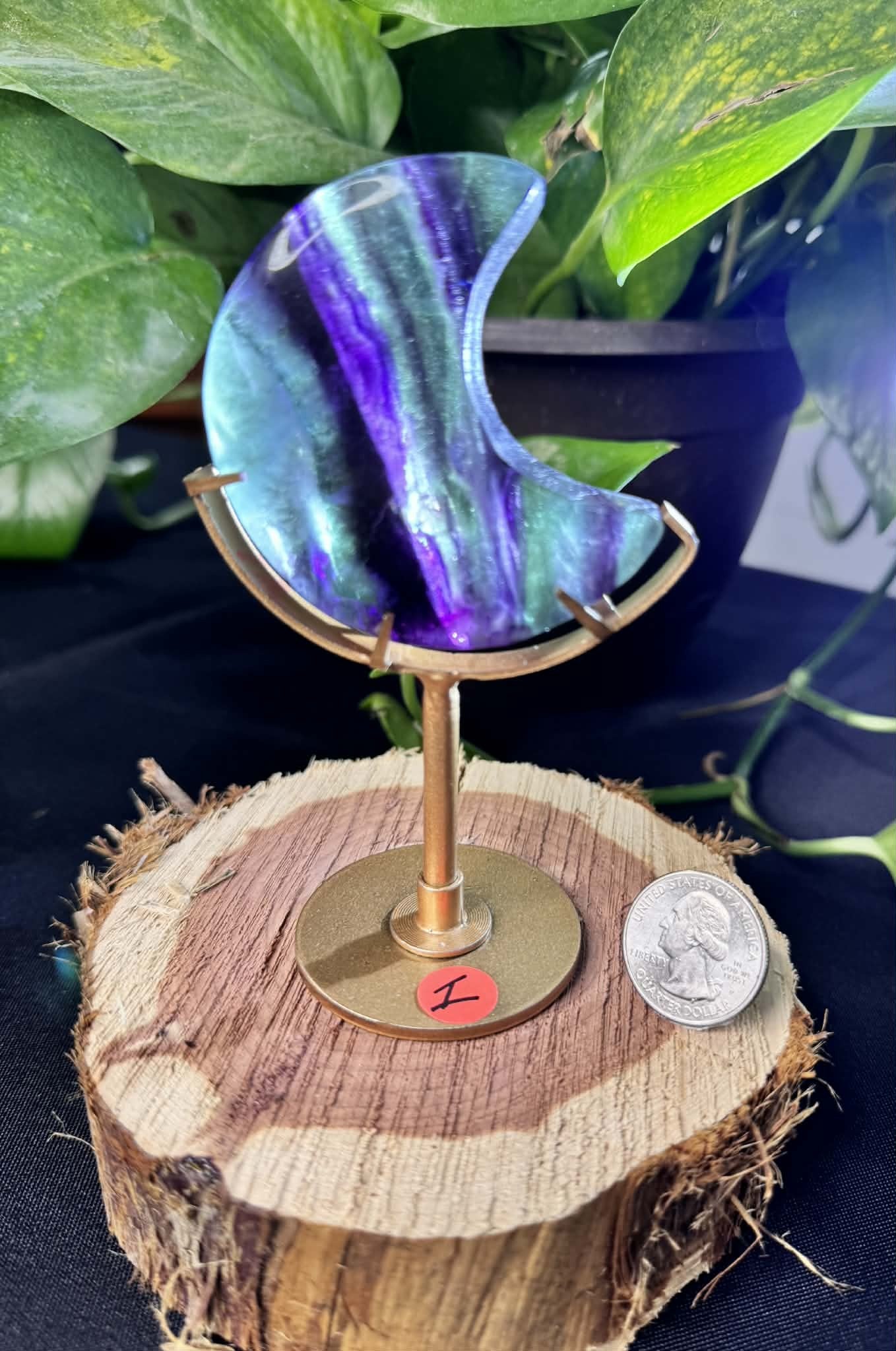 Fluorite Moon on Display Stand