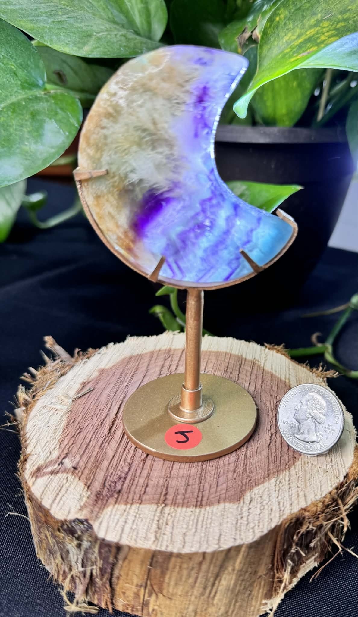 Fluorite Moon on Display Stand