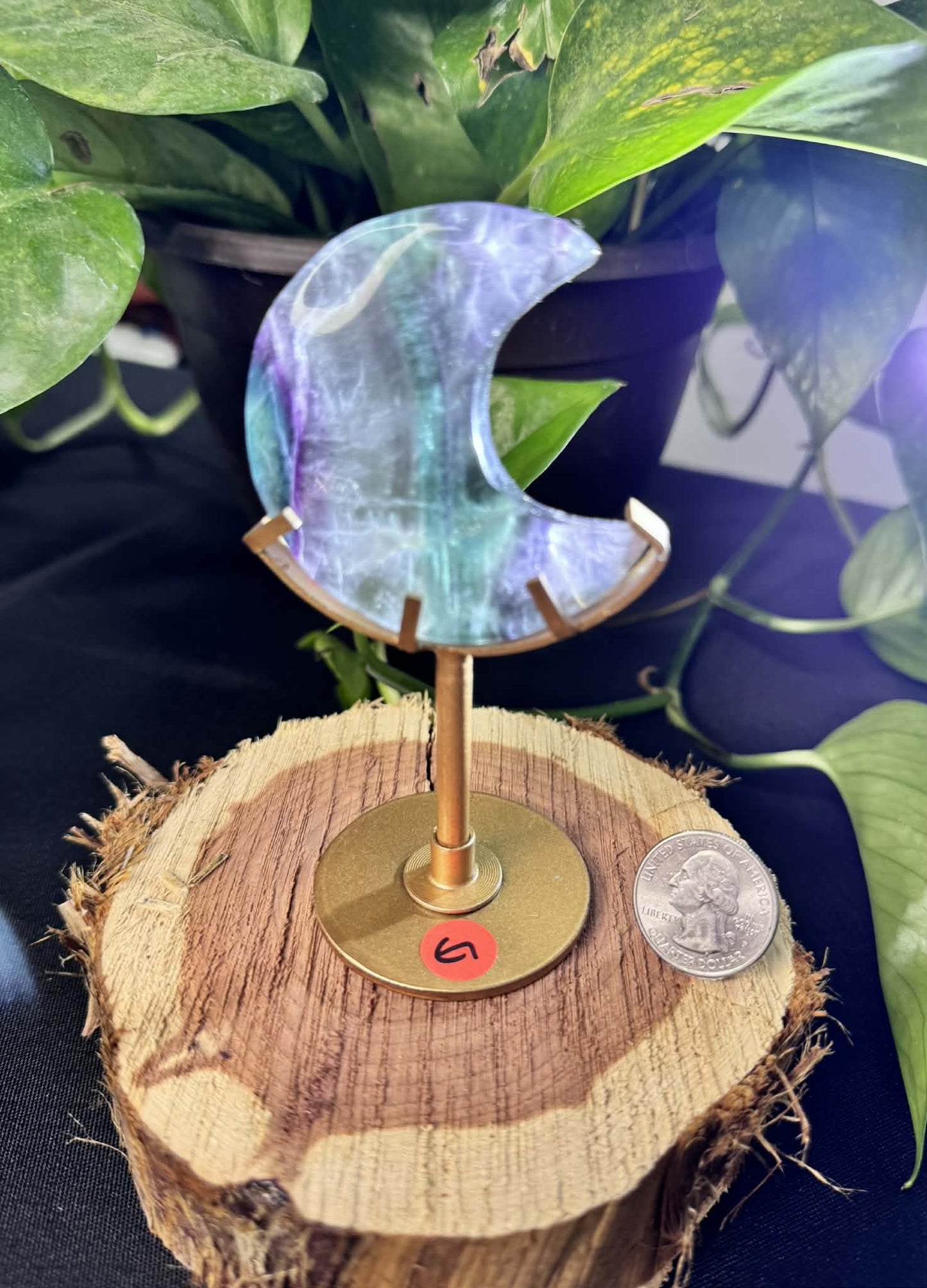 Fluorite Moon on Display Stand